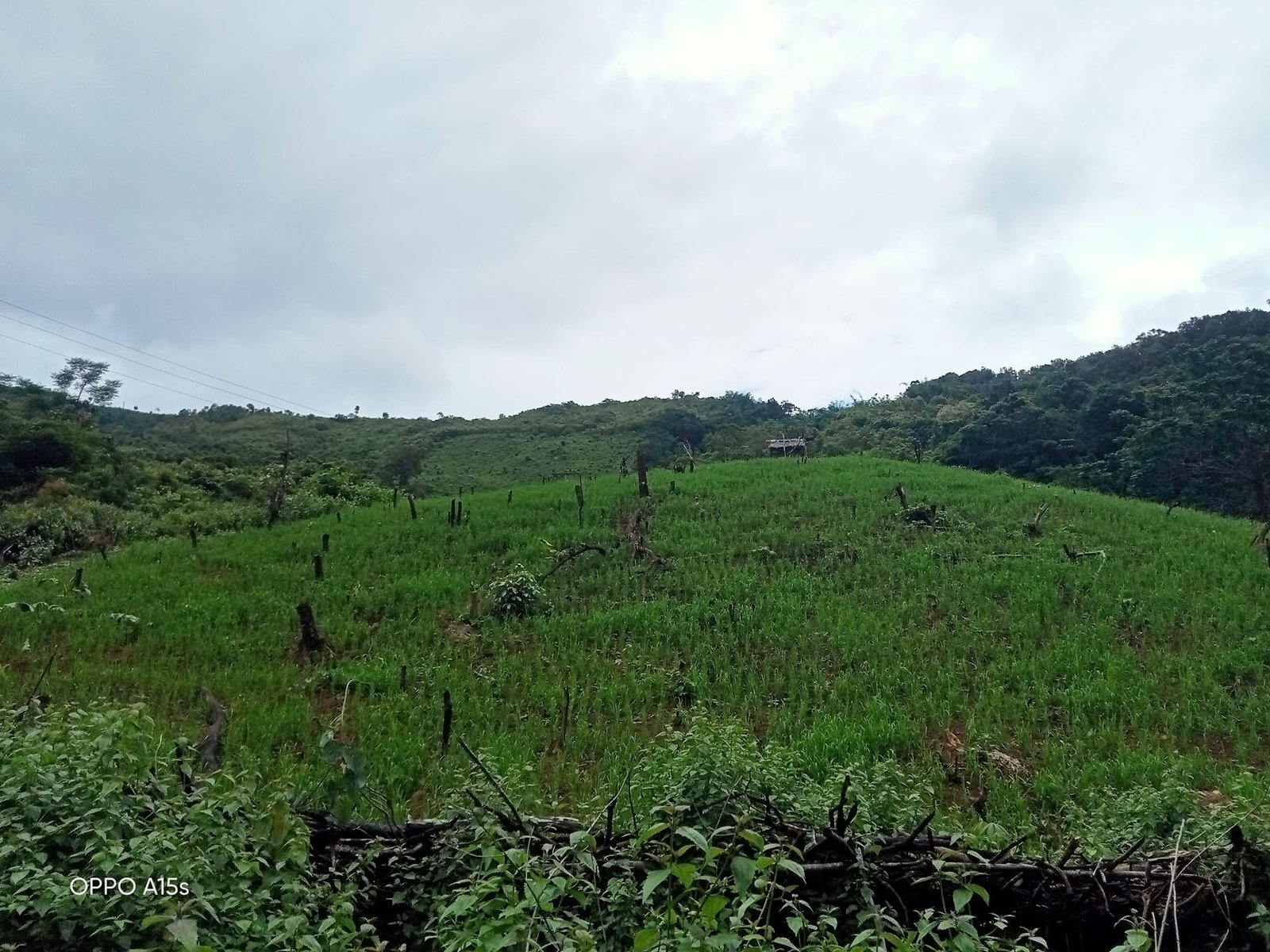 3 Days Hike In Dam Sopngam Peryanxangmai Peryenxangkao Nam Porxang - Chakhampa